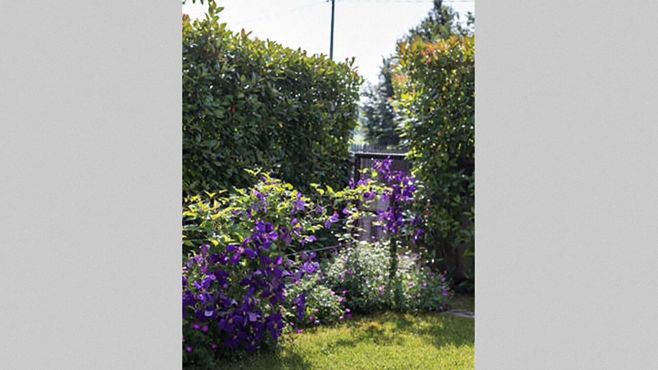 Photo of Outdoor in Sernaglia della Battaglia