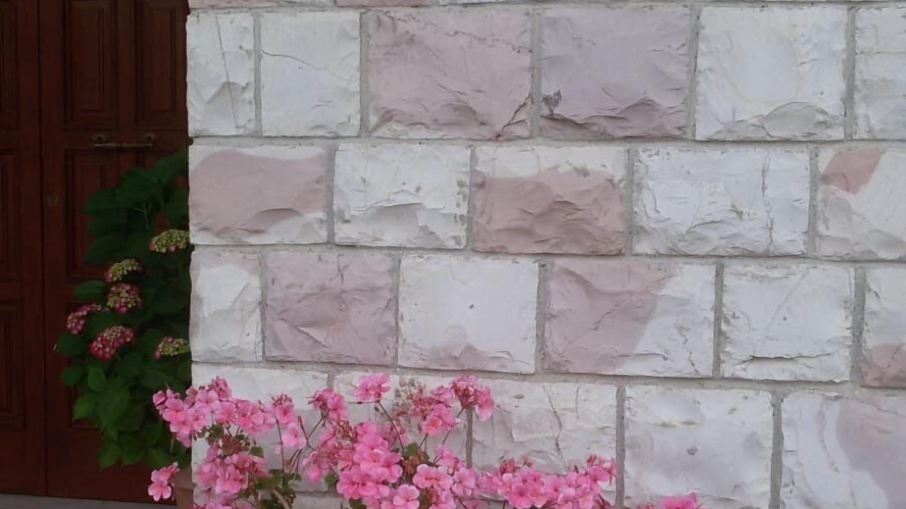 Photo of Outdoor in Cannara