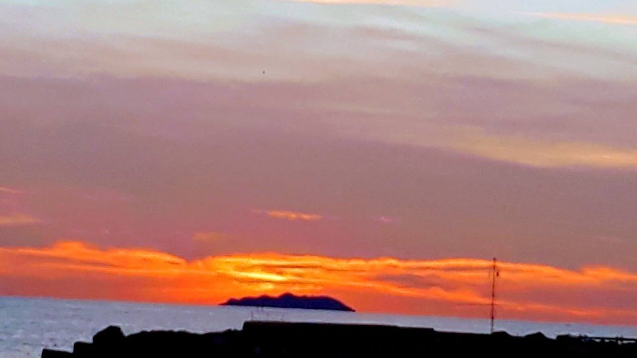 Photo of Others in Livorno