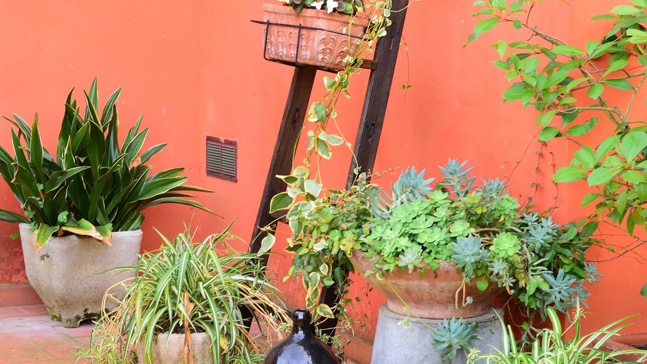 Photo of Outdoor in Massa e Cozzile