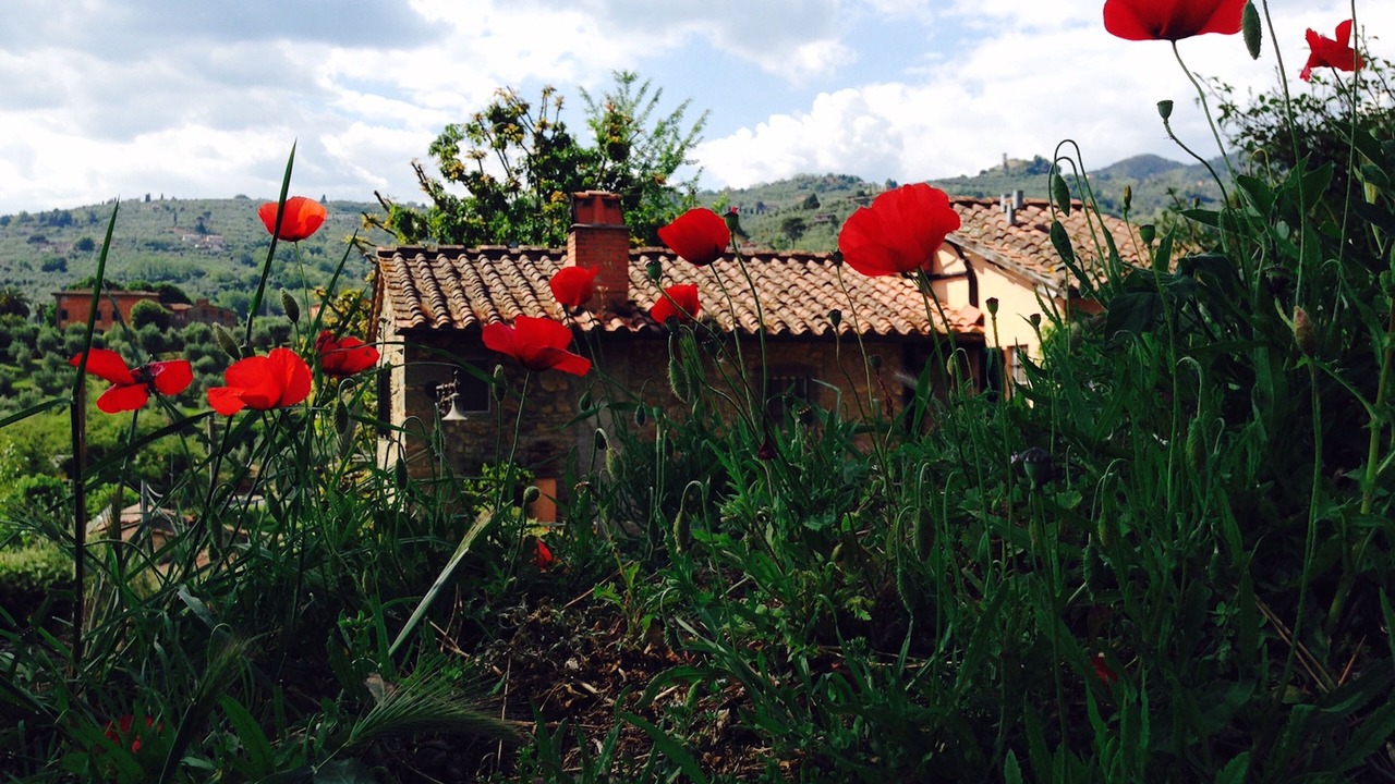 Photo of Outdoor in Massa e Cozzile