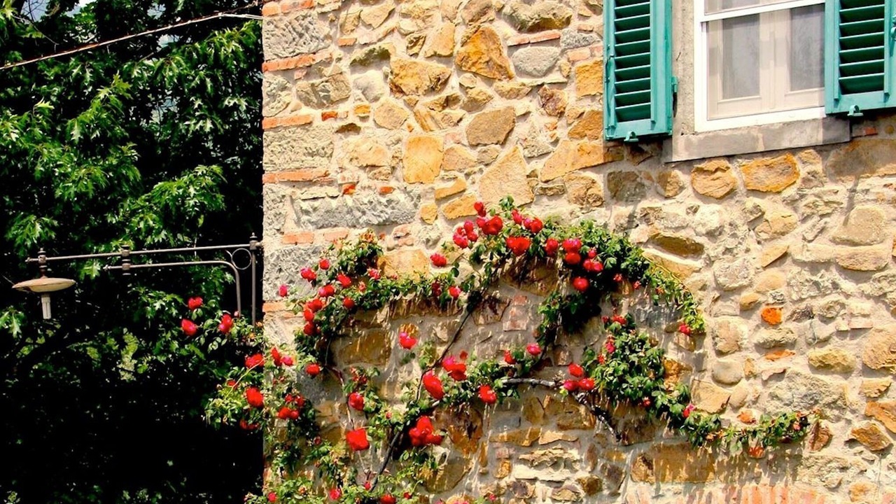 Photo of Outdoor in Massa e Cozzile