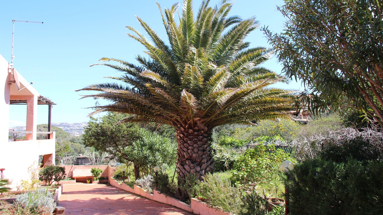 Photo of Outdoor in Villaggio Piras