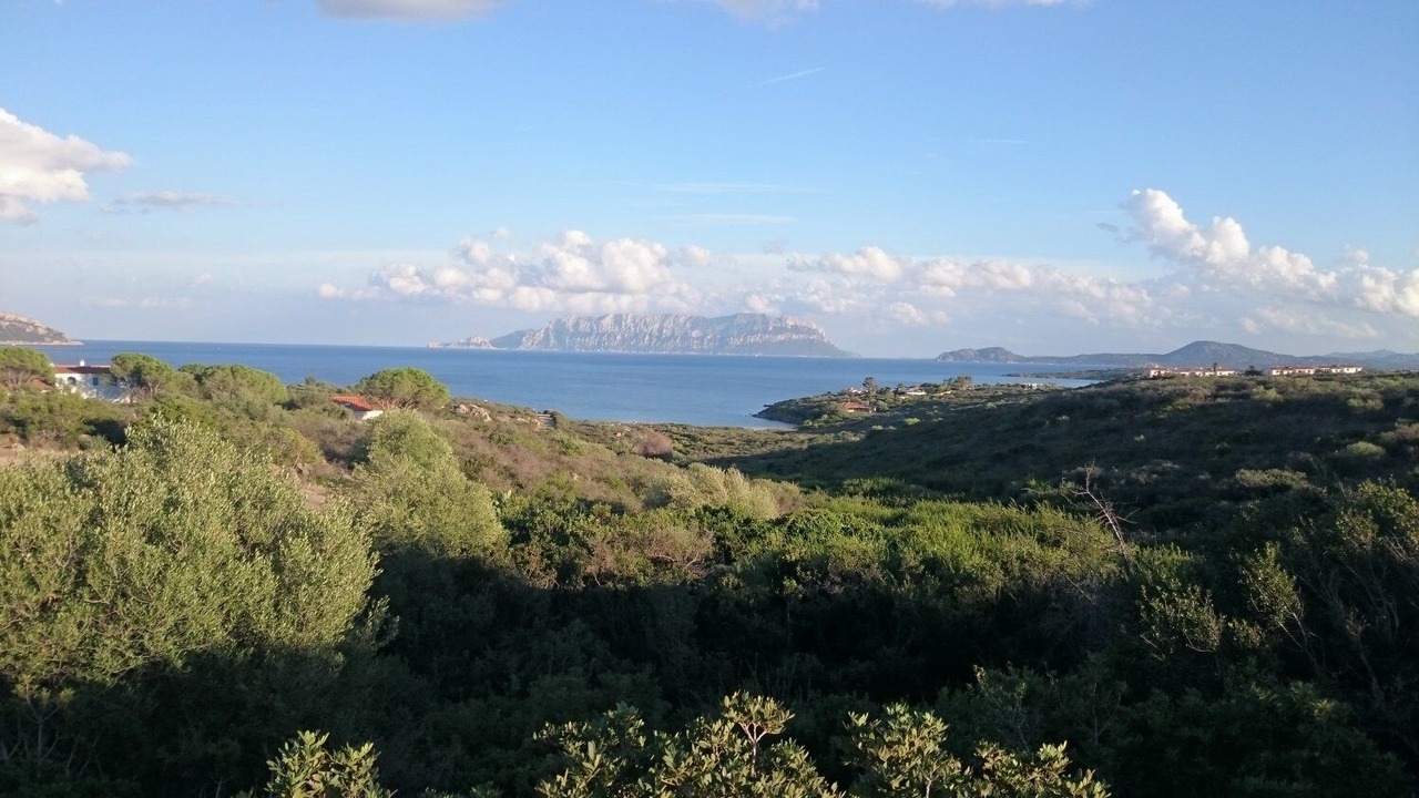 Photo of Others in Luddui