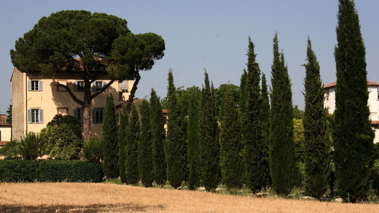 Photo of Others in Giovi-Ponte Alla Chiassa