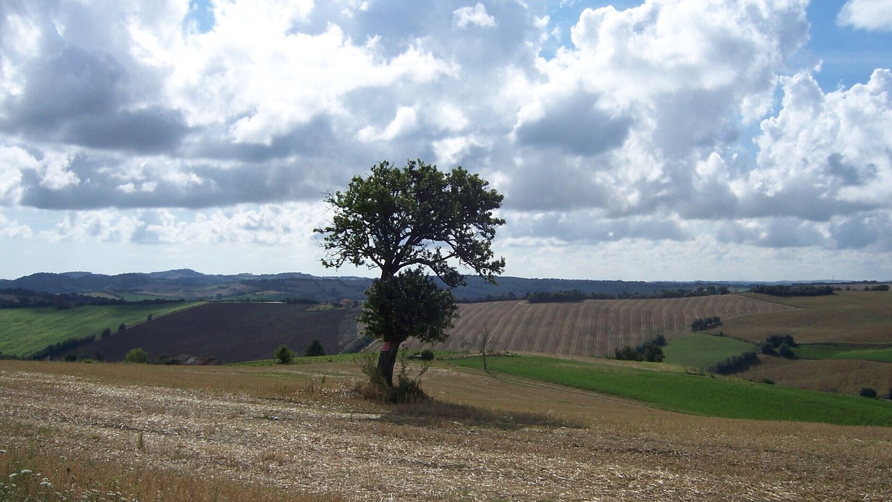 Photo of Others in Mombaroccio