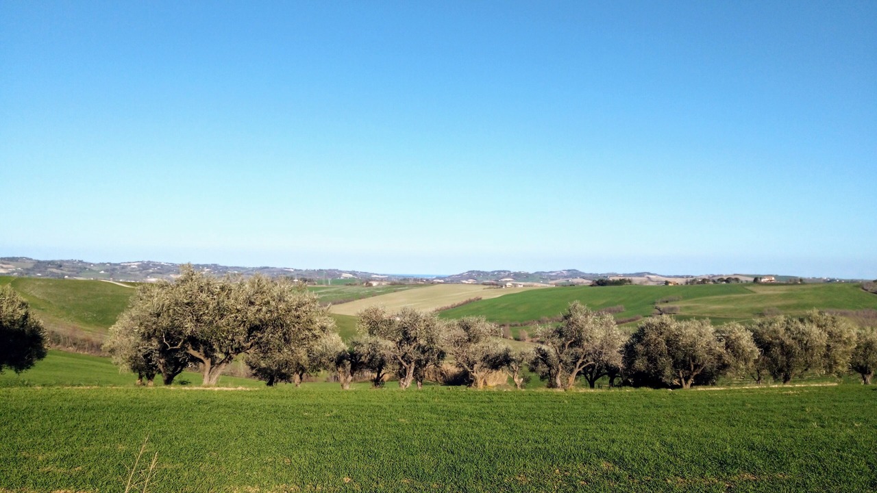 Photo of Outdoor in Mombaroccio