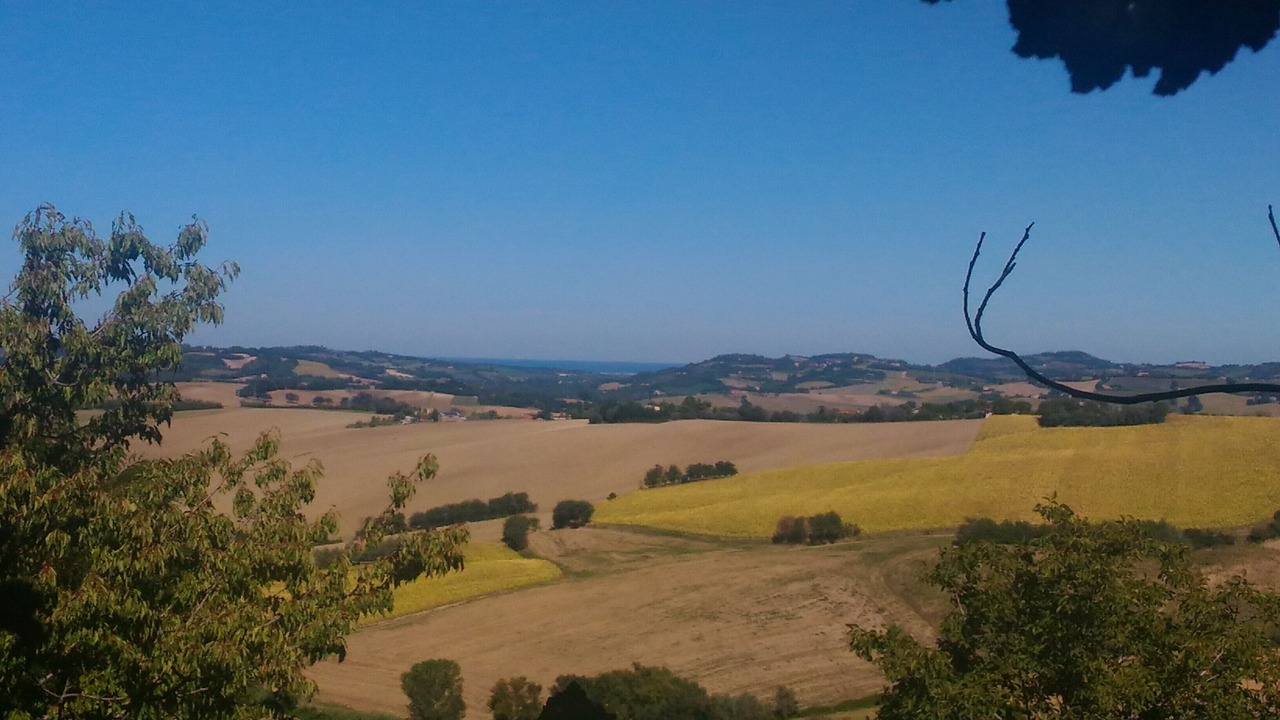 Photo of Others in Mombaroccio
