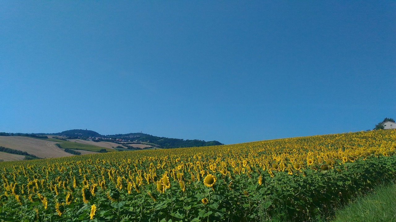 Photo of Outdoor in Mombaroccio
