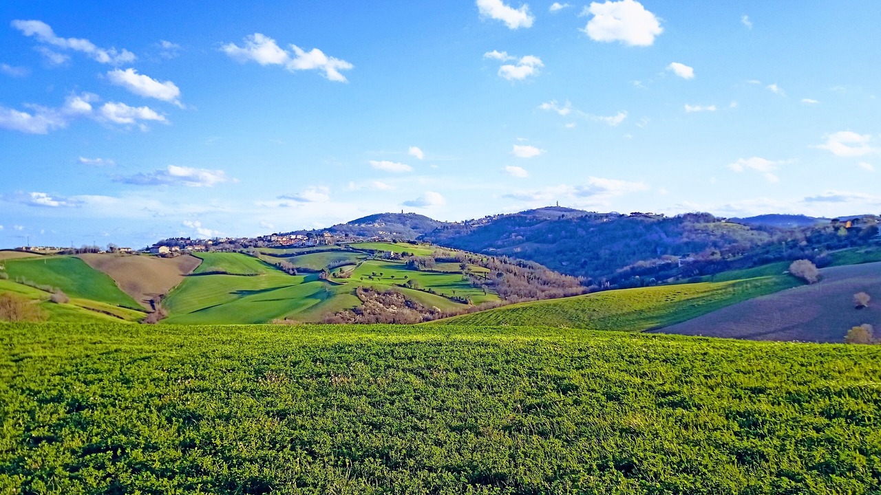 Photo of Outdoor in Mombaroccio