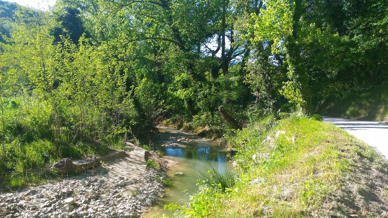 Photo of Outdoor in Mombaroccio