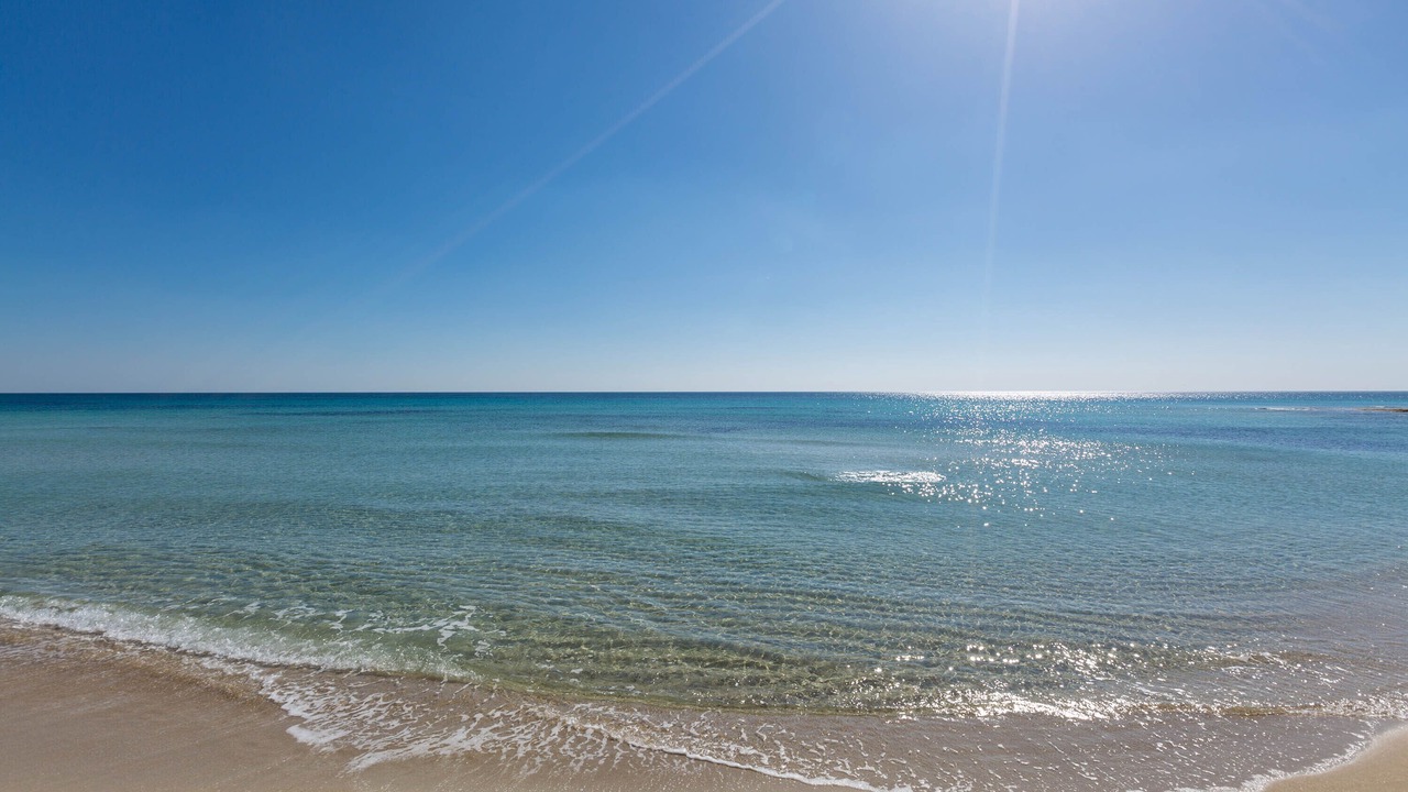 Photo of Others in Punta Prosciutto