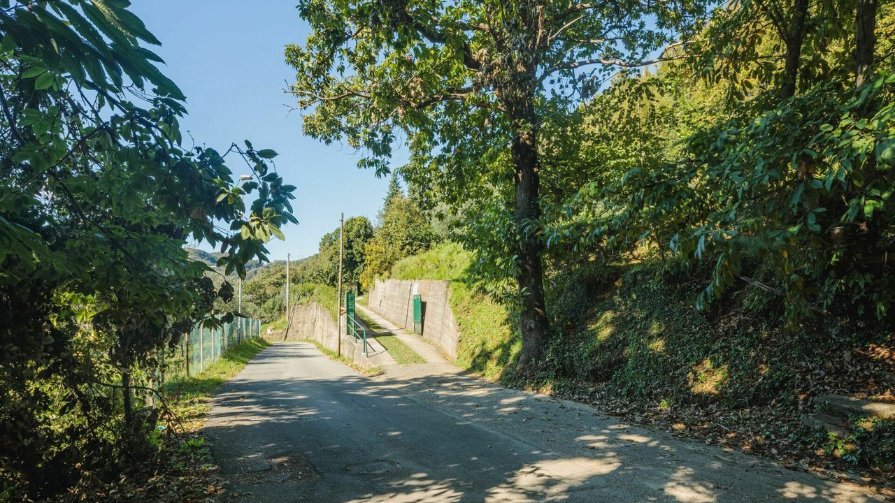 Photo of Others in Massa