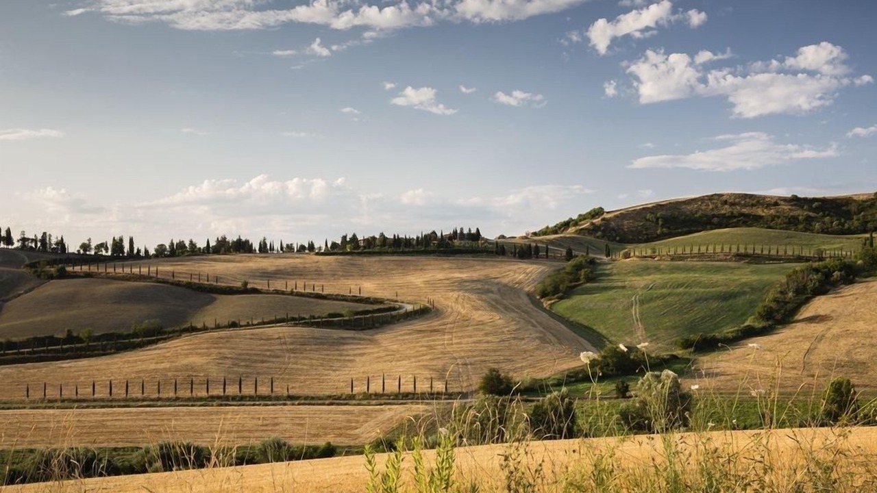 Photo of Others in Castelfalfi