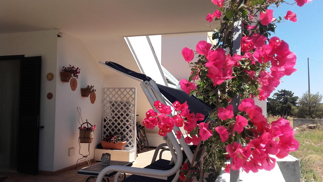 Photo of Patio Balcony in Torre Santa Sabina