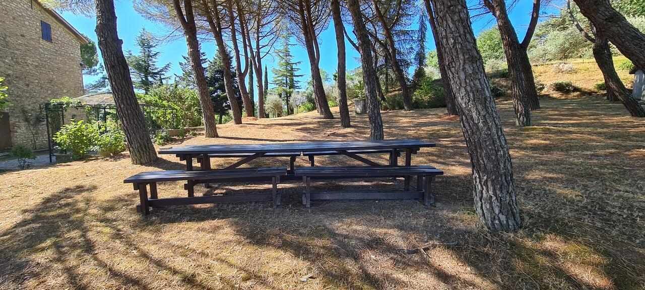 Photo of Outdoor in San Venanzo
