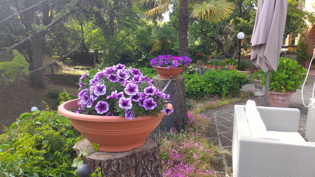 Photo of Patio Balcony in Capolona