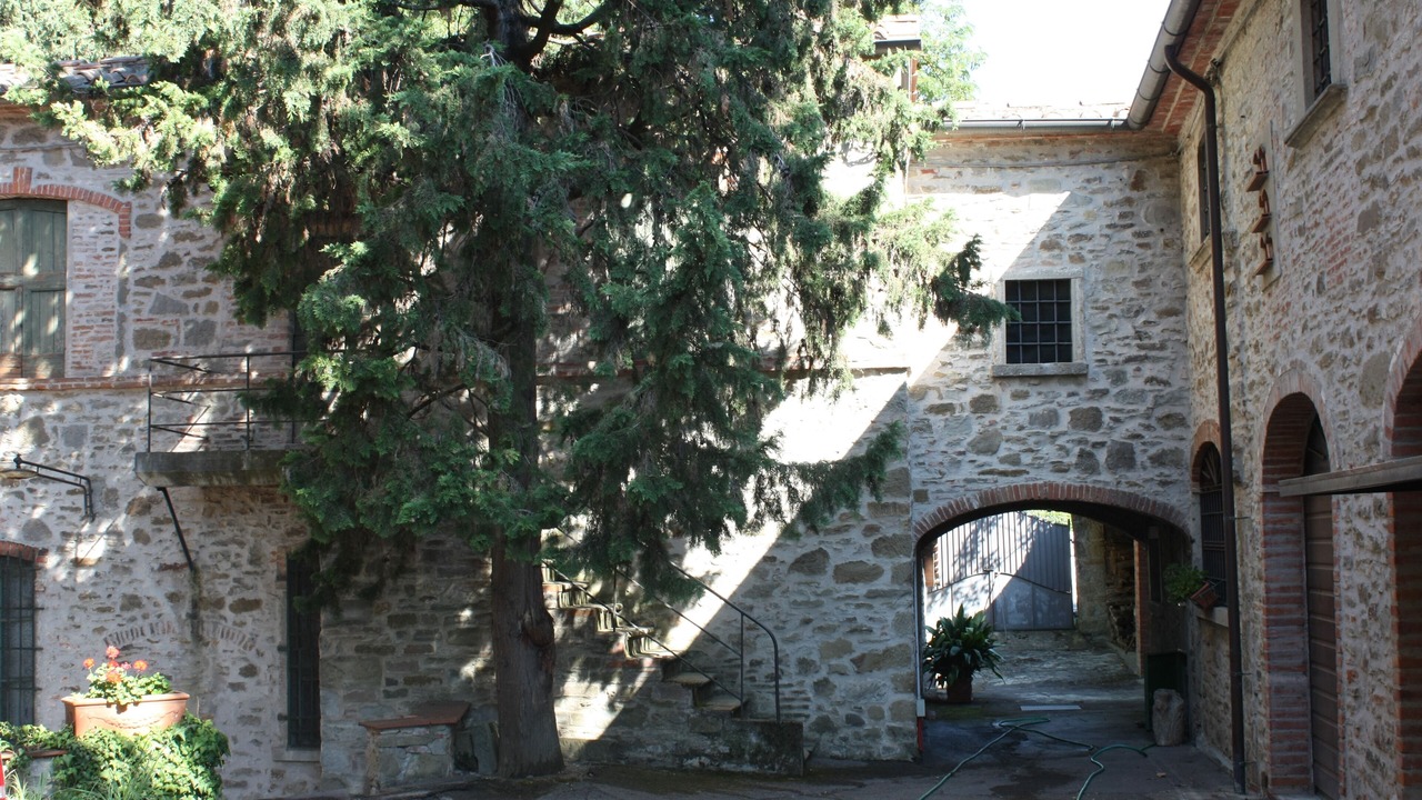 Photo of Outdoor in Capolona