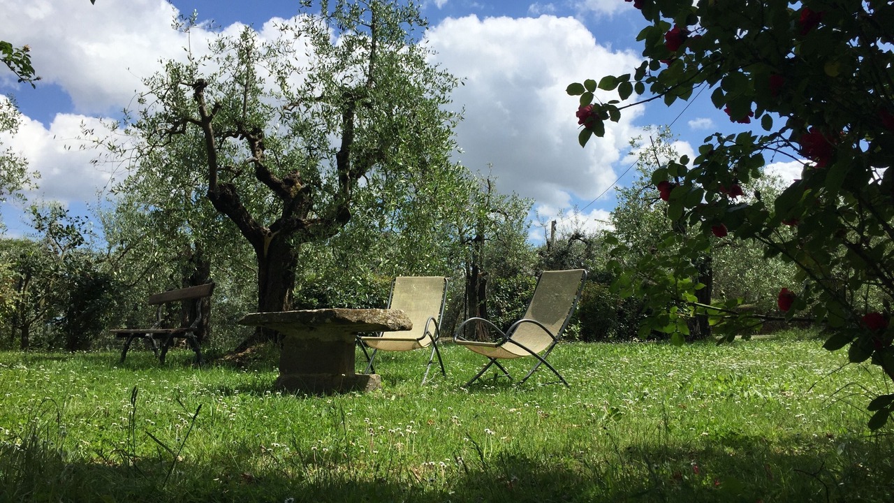 Photo of Outdoor in Monte San Savino