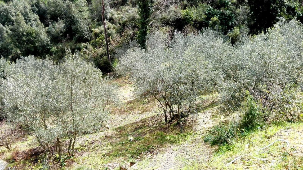 Photo of Outdoor in San Martino delle Scale