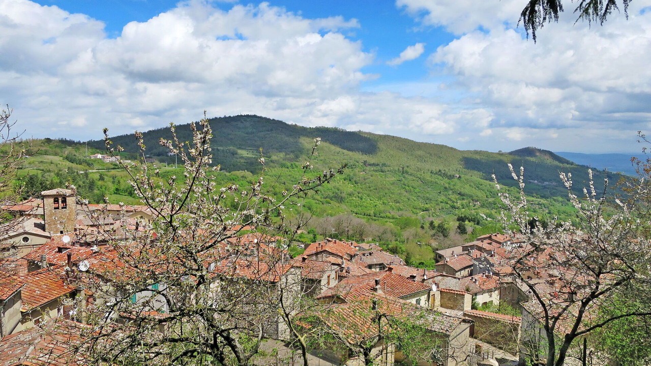 Photo of Outdoor in Montieri