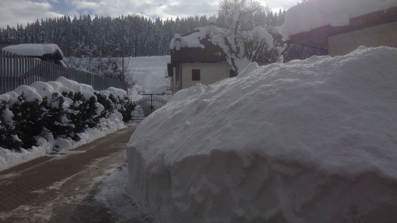 Photo of Outdoor in Tarvisio