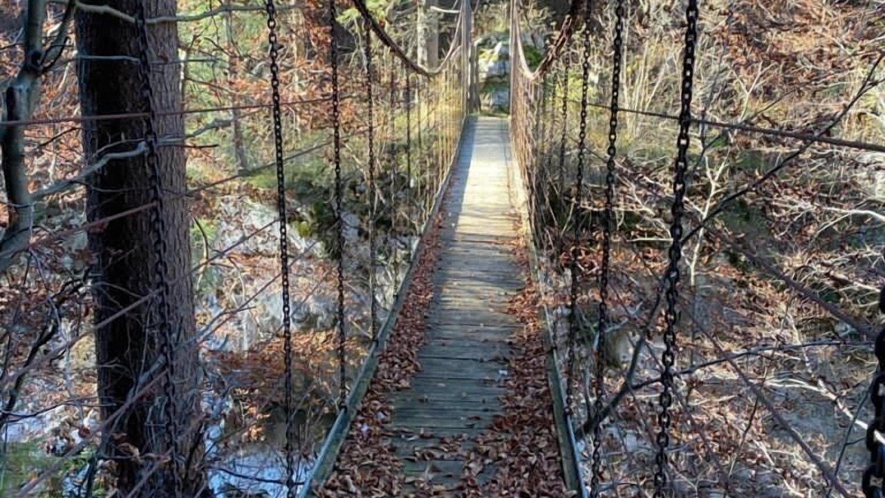 Photo of Outdoor in Tarvisio