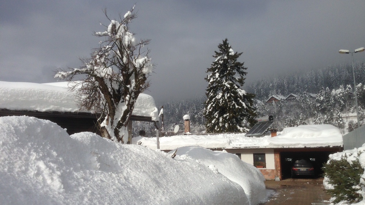 Photo of Outdoor in Tarvisio