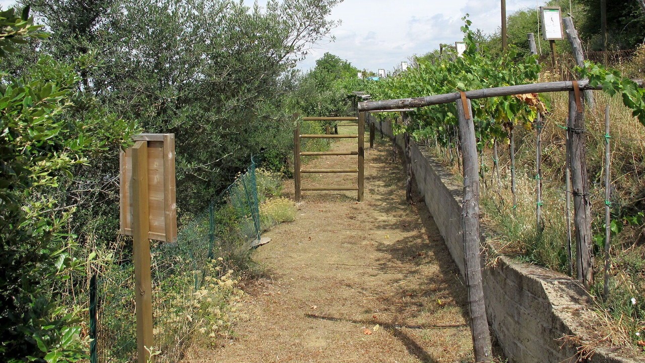 Photo of Others in Paciano