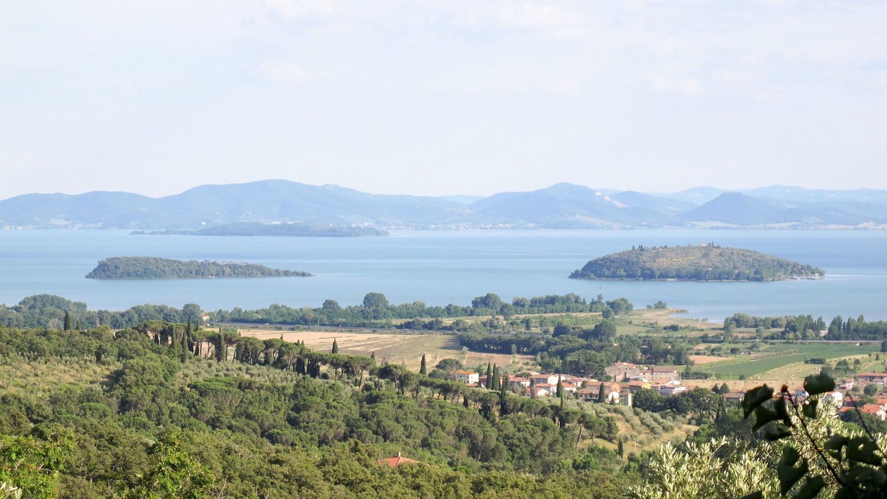 Photo of Others in Paciano
