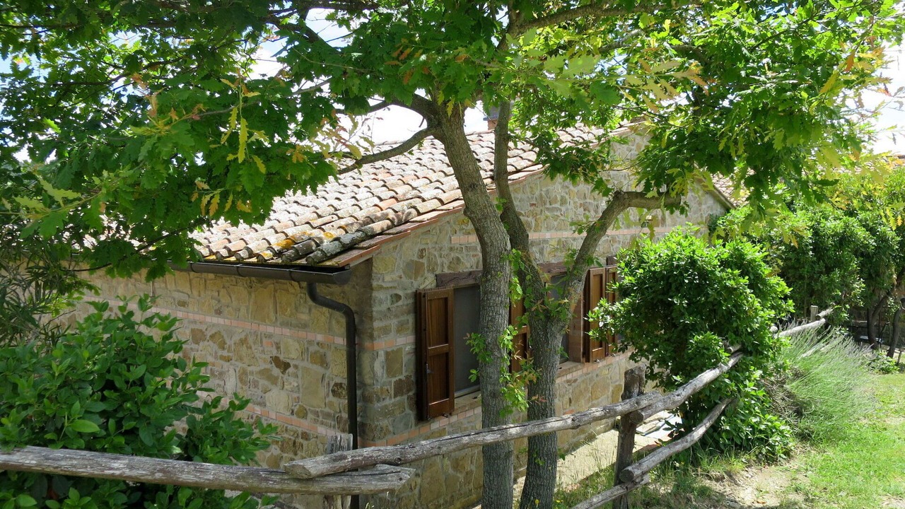 Photo of Others in Paciano