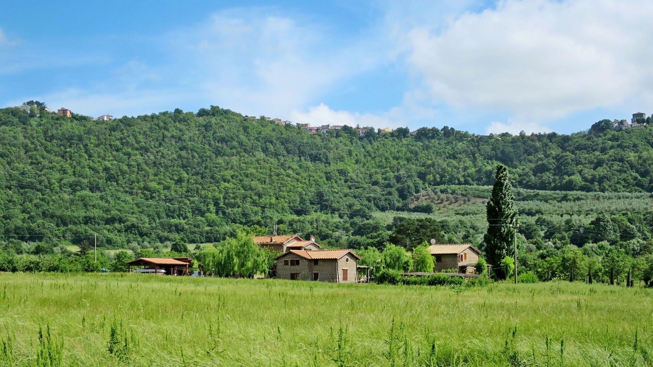 Photo of Others in Montefiascone
