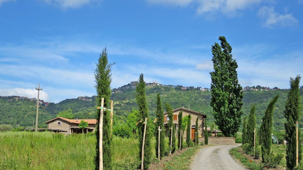 Photo of Others in Montefiascone