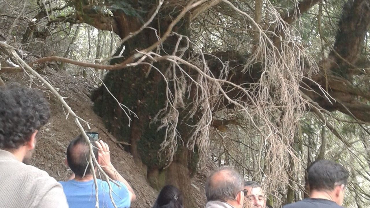 Photo of Others in Fonni