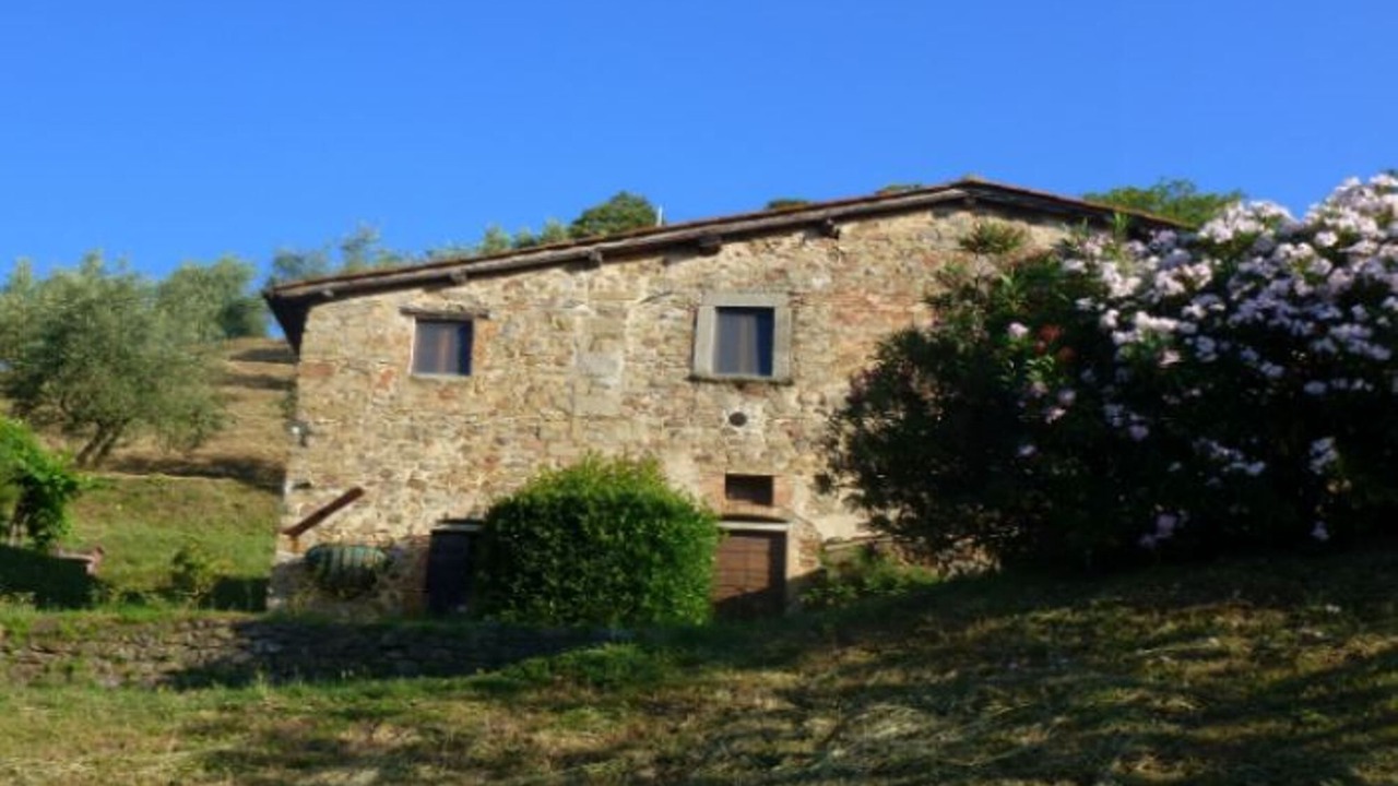 Photo of Outdoor in Pietrabuona