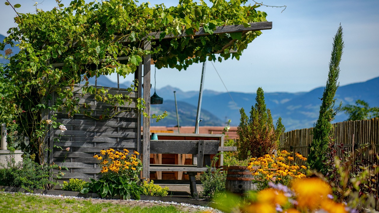 Photo of Outdoor in Barbiano