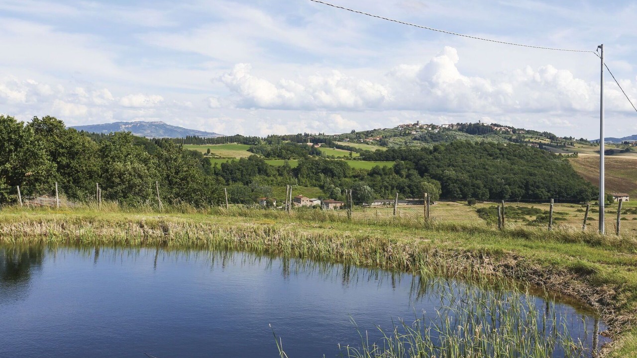 Photo of Outdoor in Terricciola