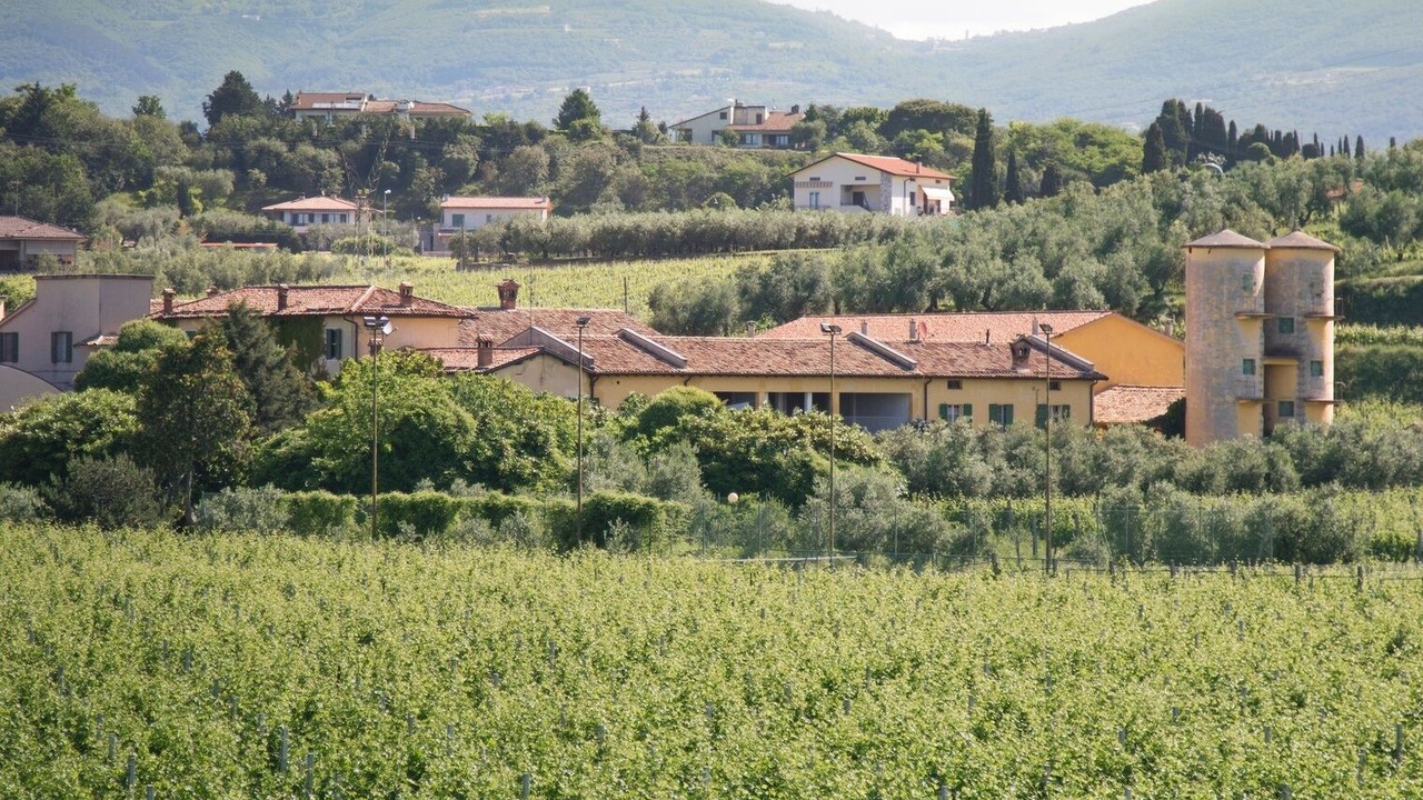 Photo of Others in Cavaion Veronese