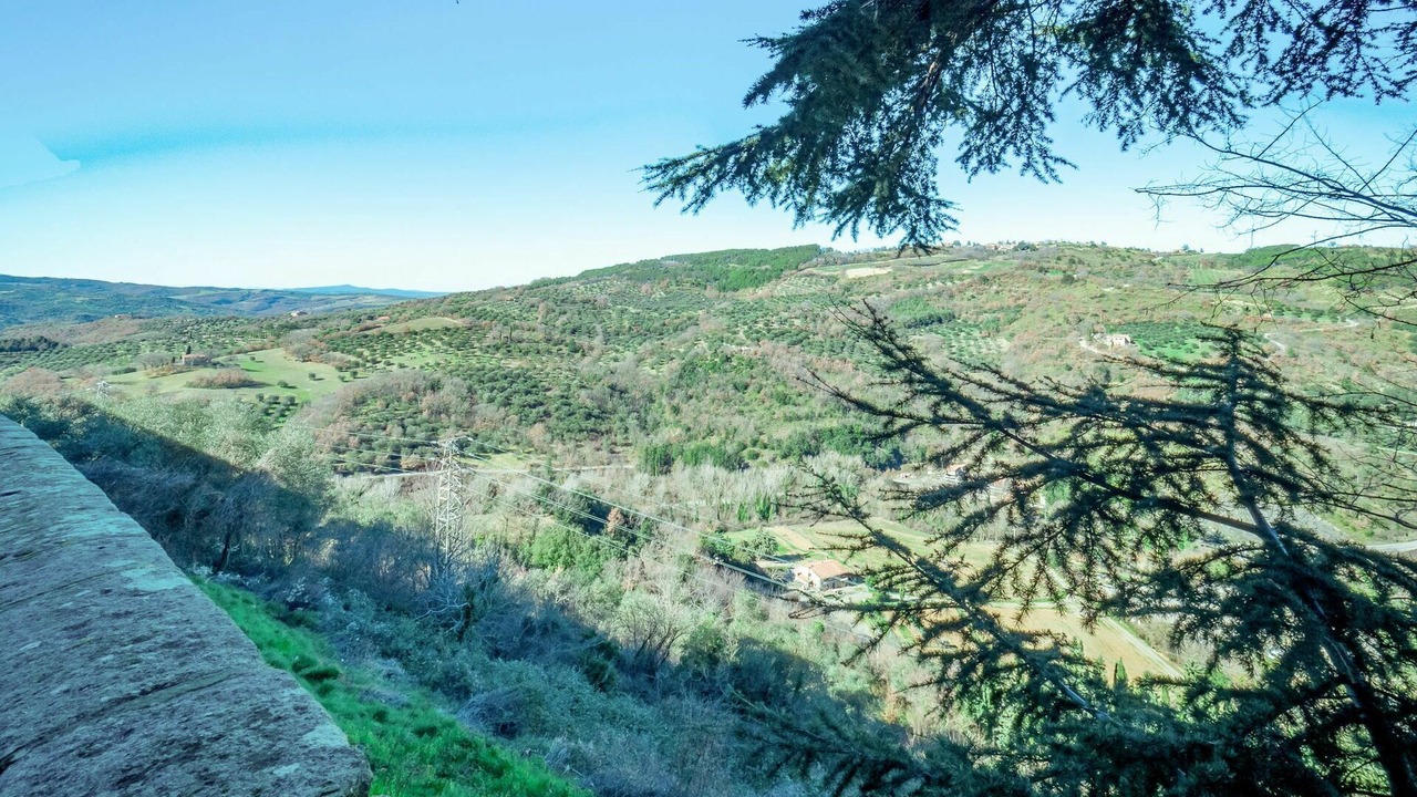 Photo of Others in Seggiano