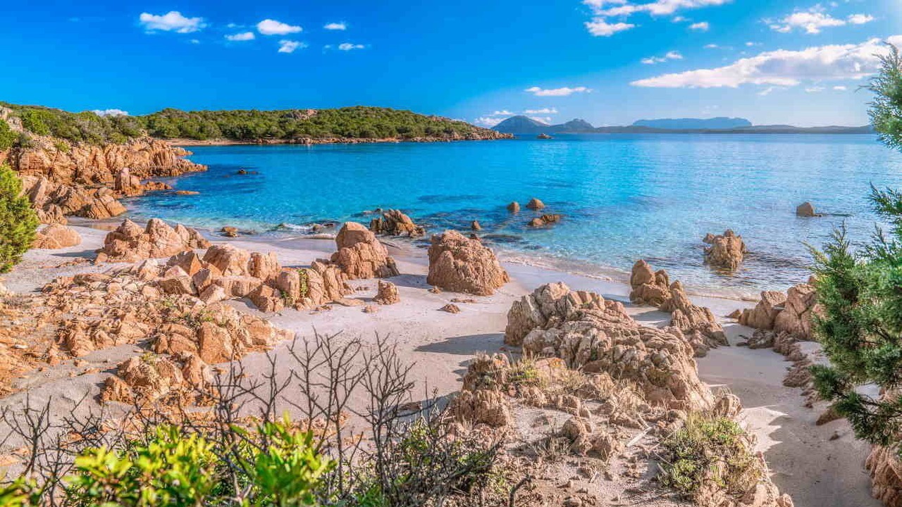 Photo of Others in Olbia