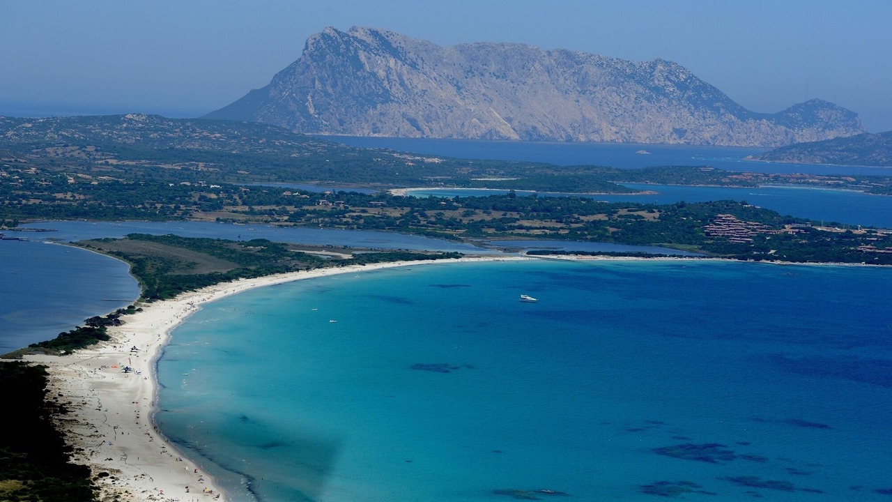 Photo of Others in Olbia