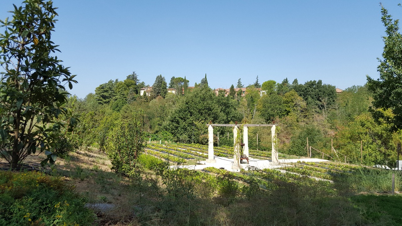 Photo of Outdoor in Varignana