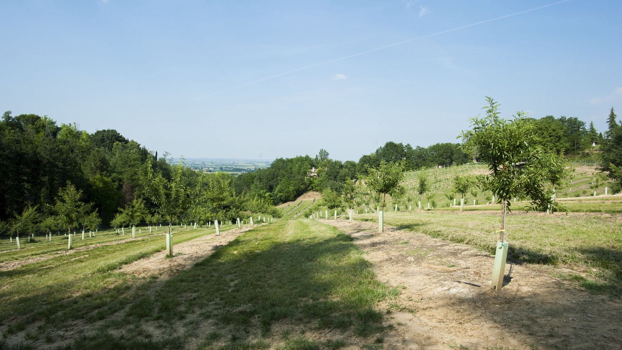 Photo of Outdoor in Varignana