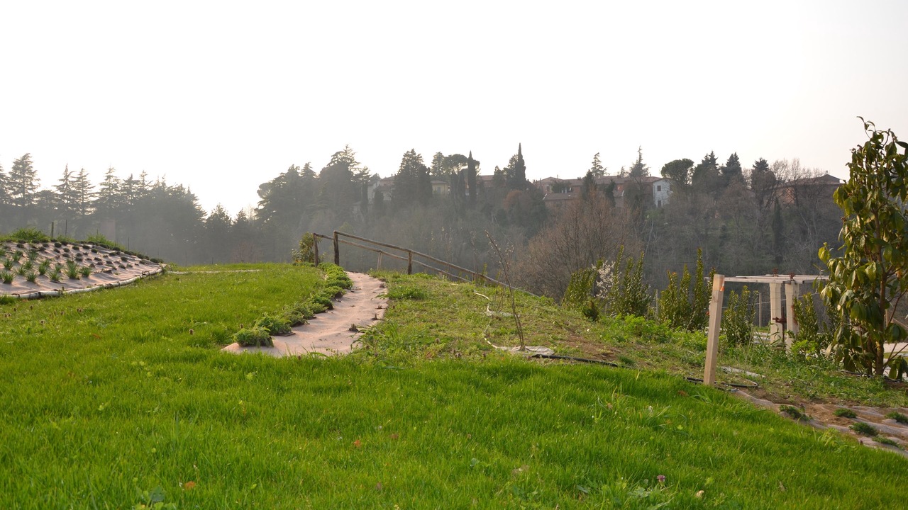 Photo of Outdoor in Varignana