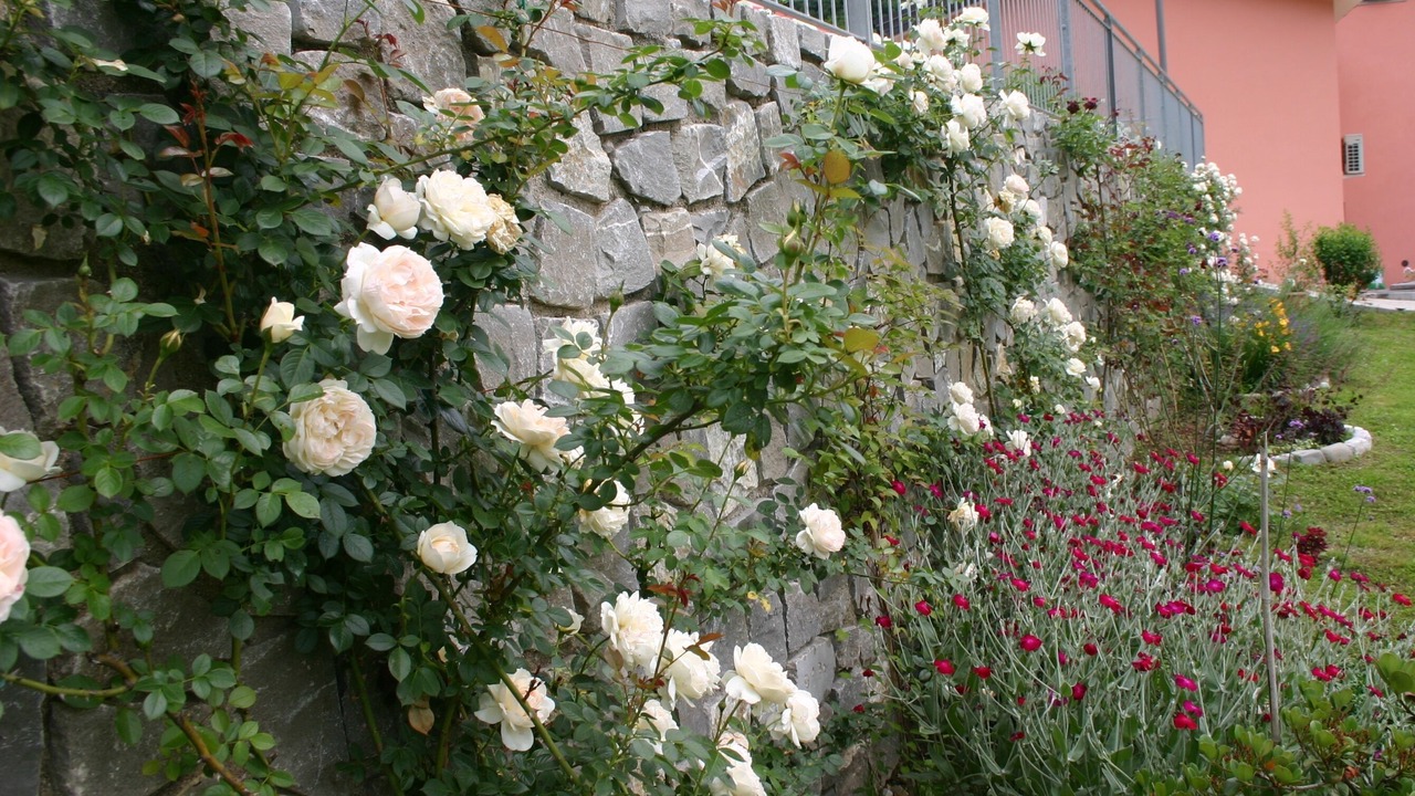 Photo of Outdoor in Pulfero