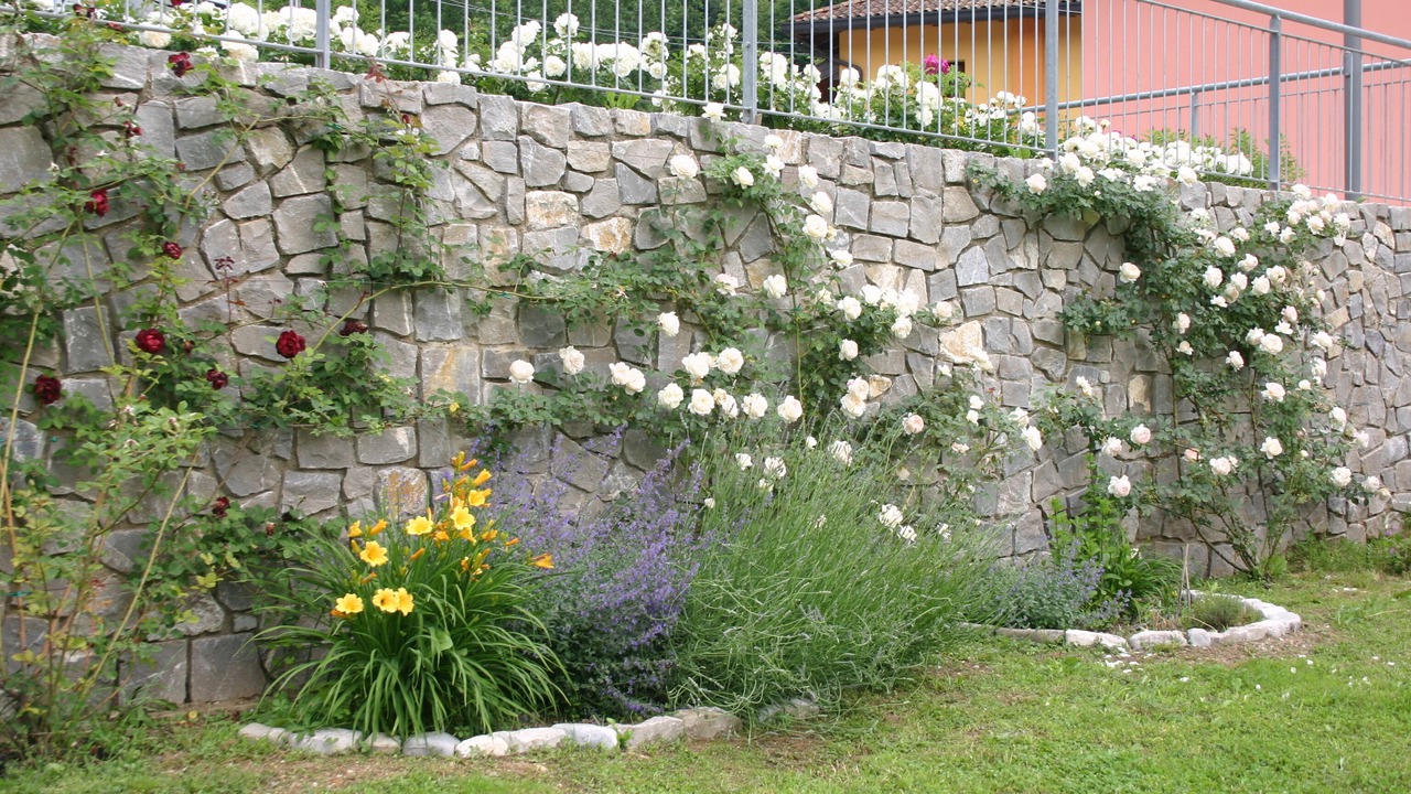 Photo of Outdoor in Pulfero