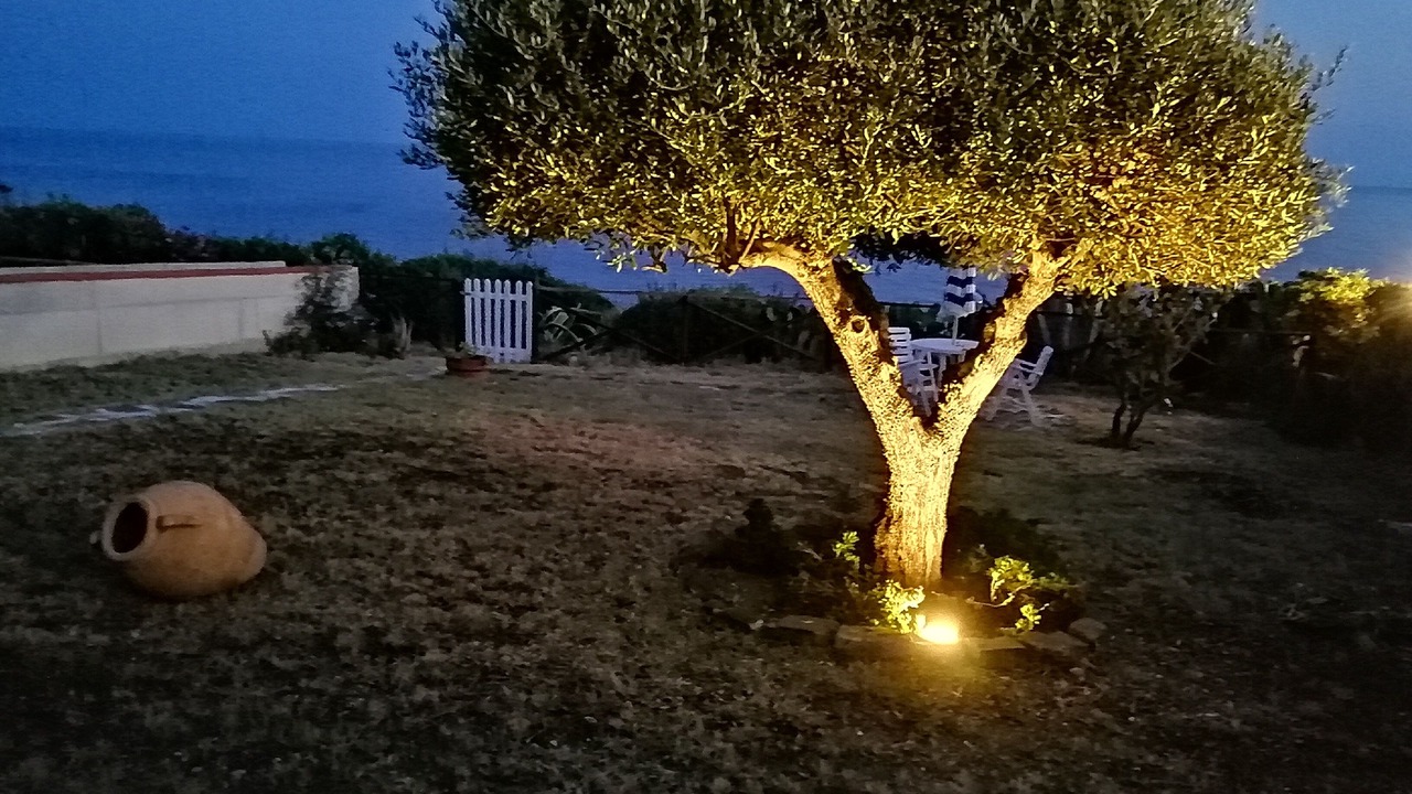 Photo of Outdoor in Acciaroli