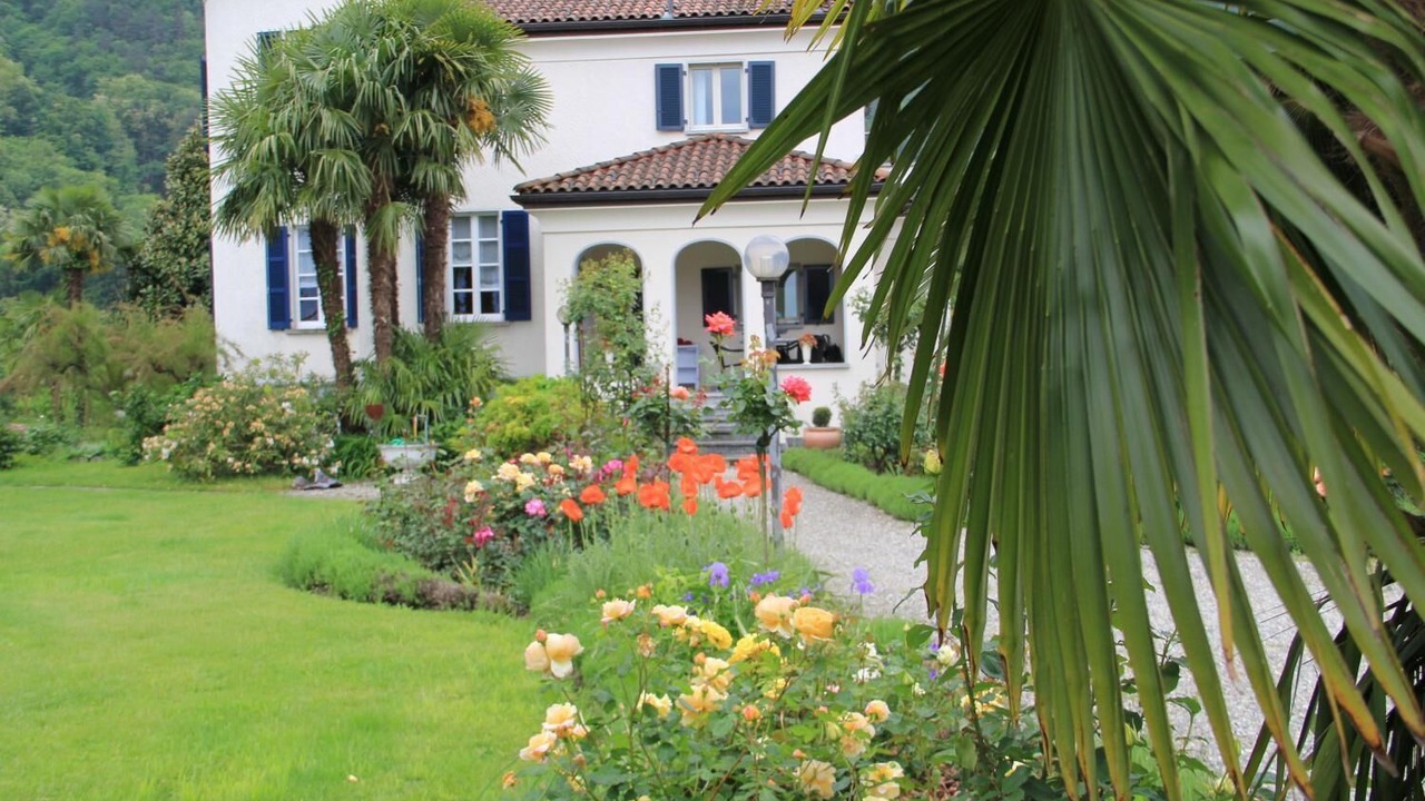 Photo of Outdoor in Cannobio