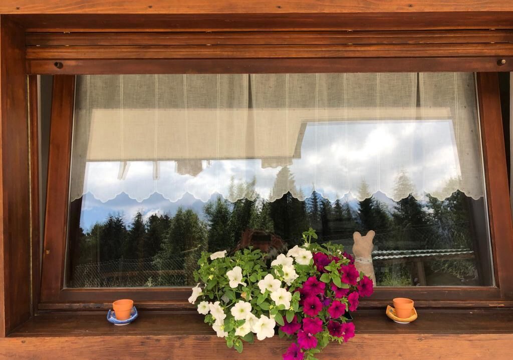 Photo of Outdoor in Laggio di Cadore