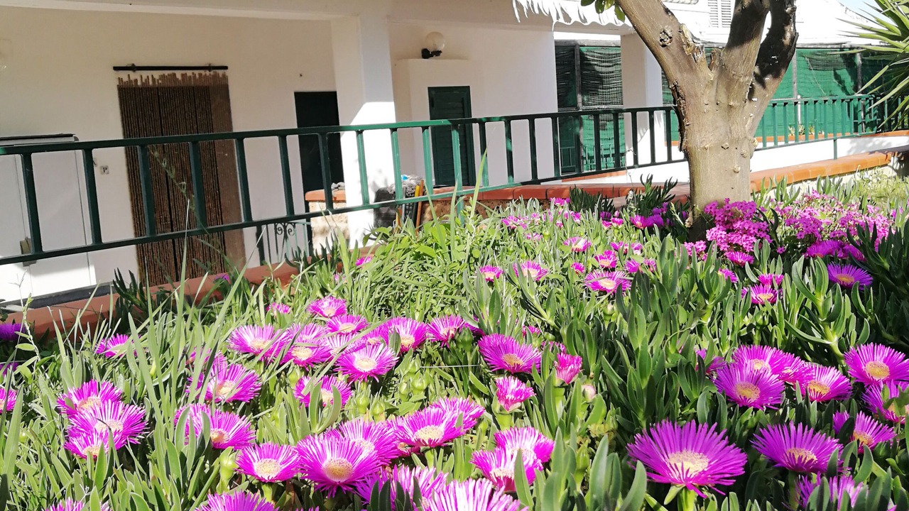 Photo of Outdoor in Ortona